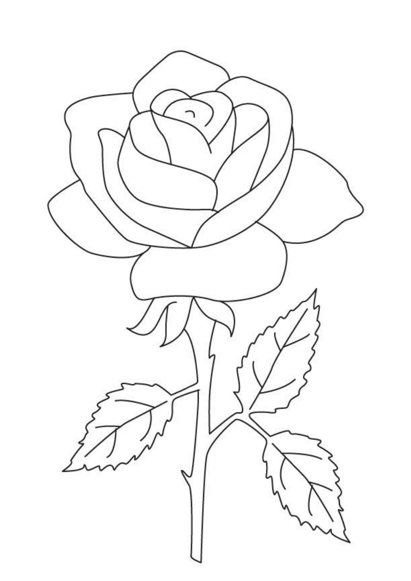 riscos para pintura em tecido grandes