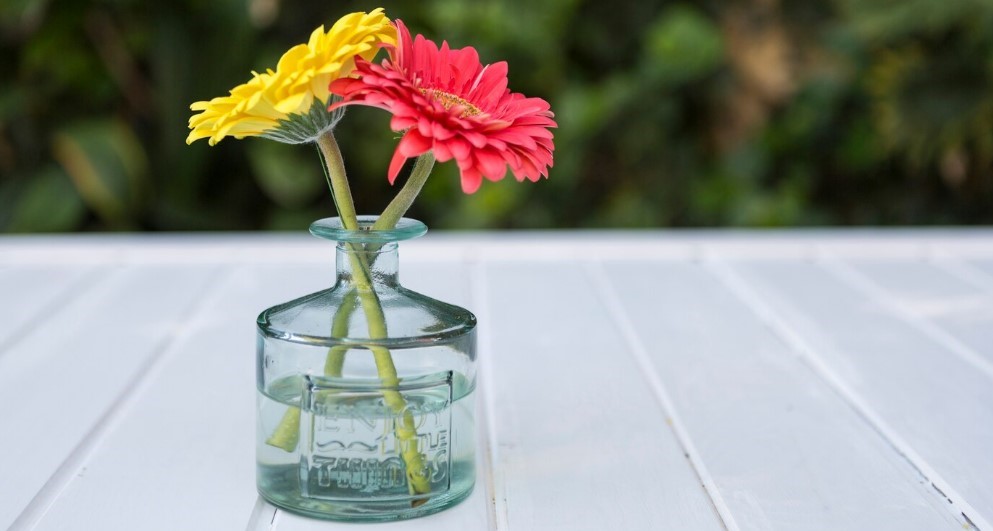 arranjo de flores em garrafas