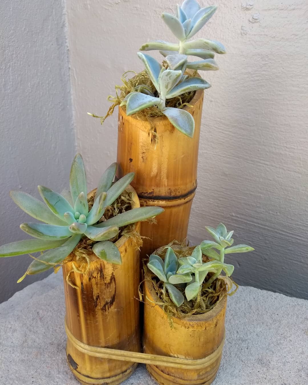 ideias de artesanato com bambu passo a passo