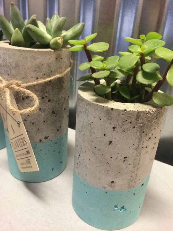 Como fazer vasos de cimento para suculentas