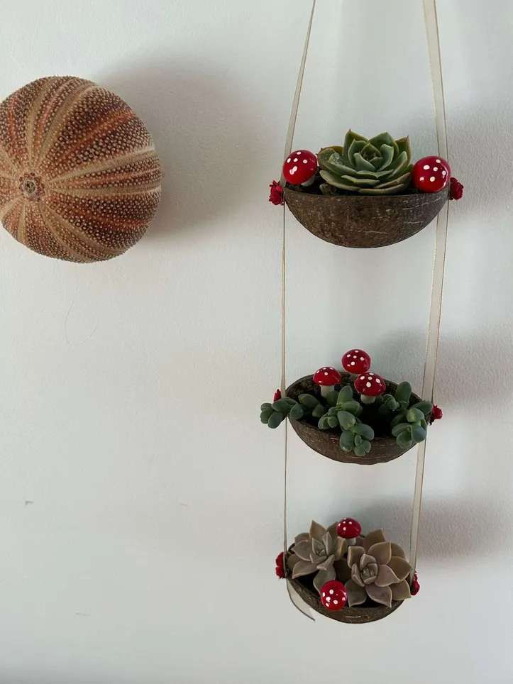 os 5 erros mais comuns ao fazer flores secas e como evitá-los