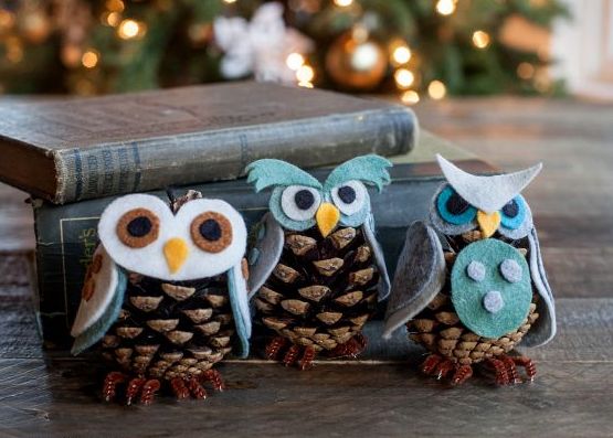 limpeza de pinhas para decoração