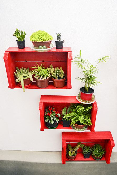 5 ideias de títulos