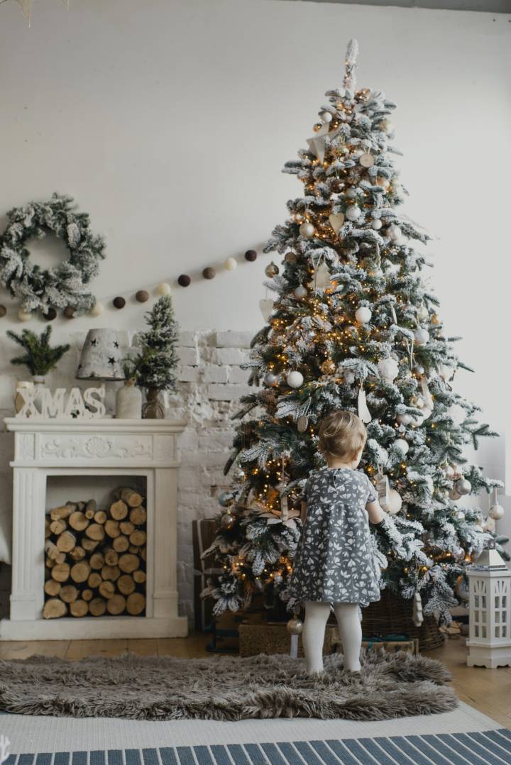 árvore de natal elegante vs árvore de natal tradicional