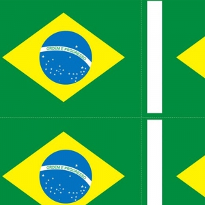 bandeira do brasil para pintar
