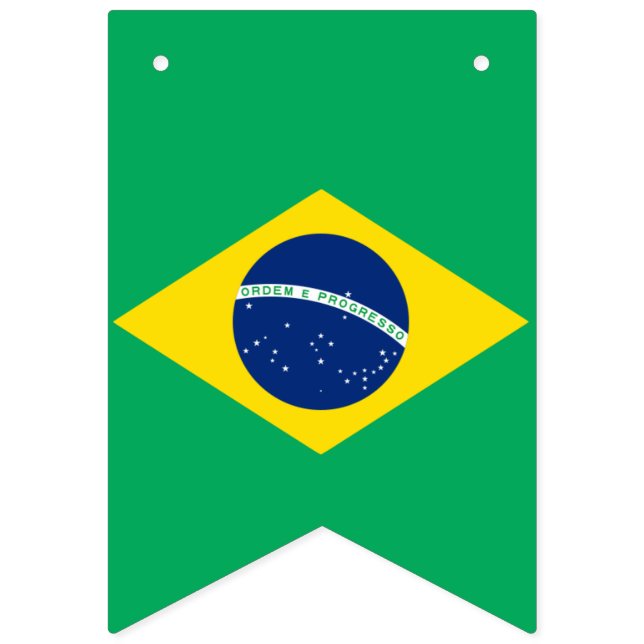 bandeira do brasil para colorir