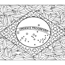 bandeira do brasil vetor