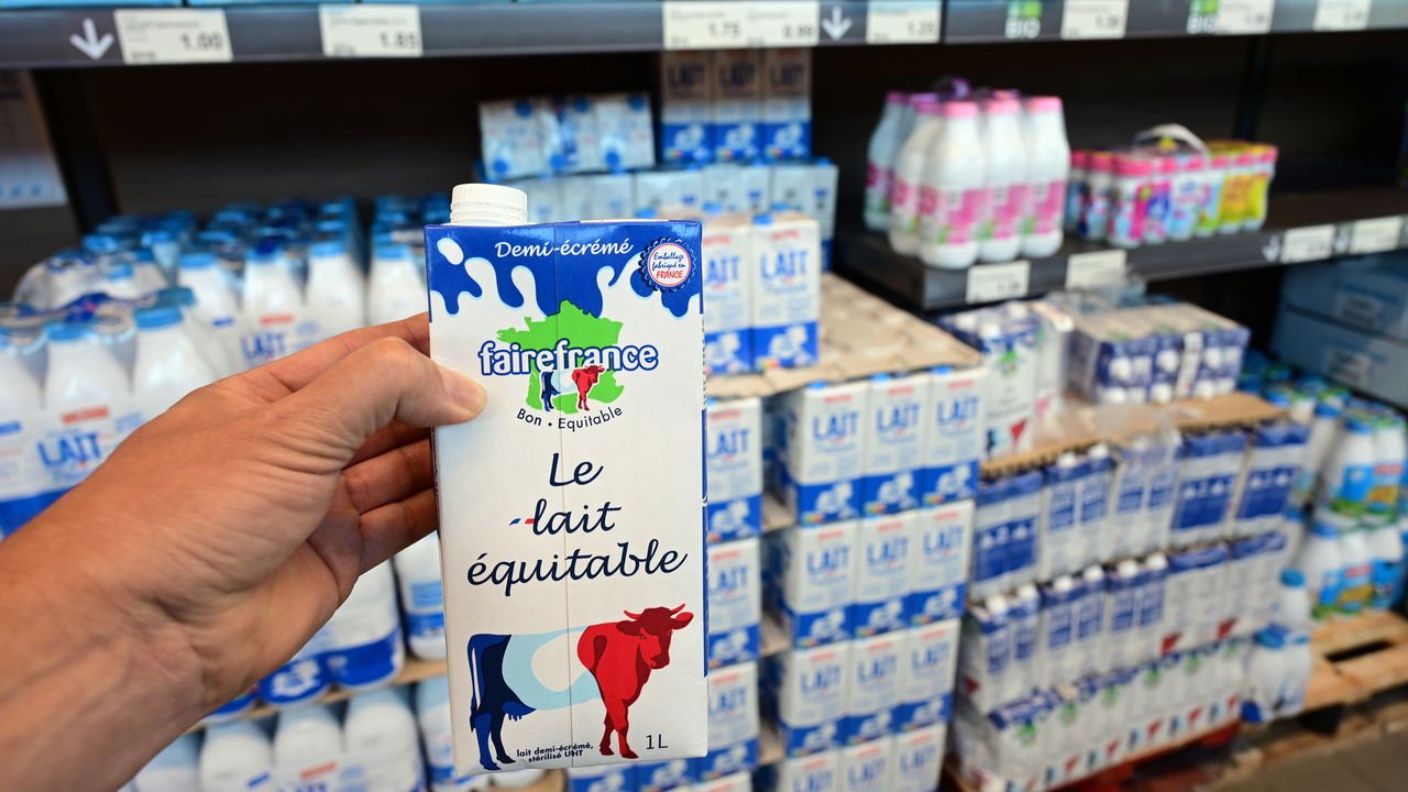 erros comuns fazer bandeja caixa de leite