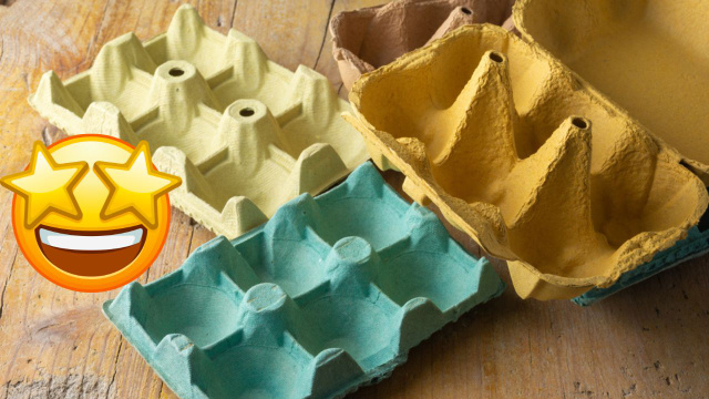 bandeja de papelão para ovo de galinha