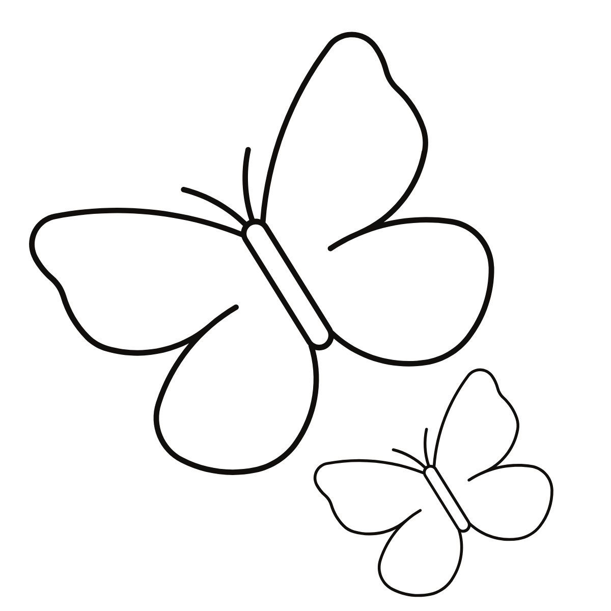 molde borboleta para parede