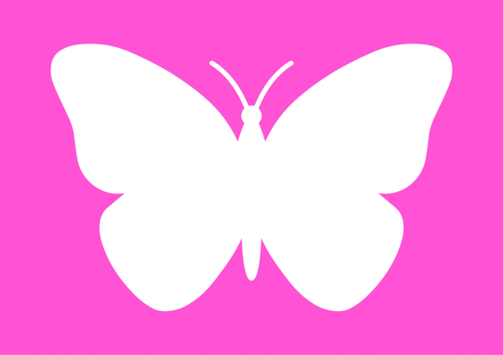 molde borboleta para feltro