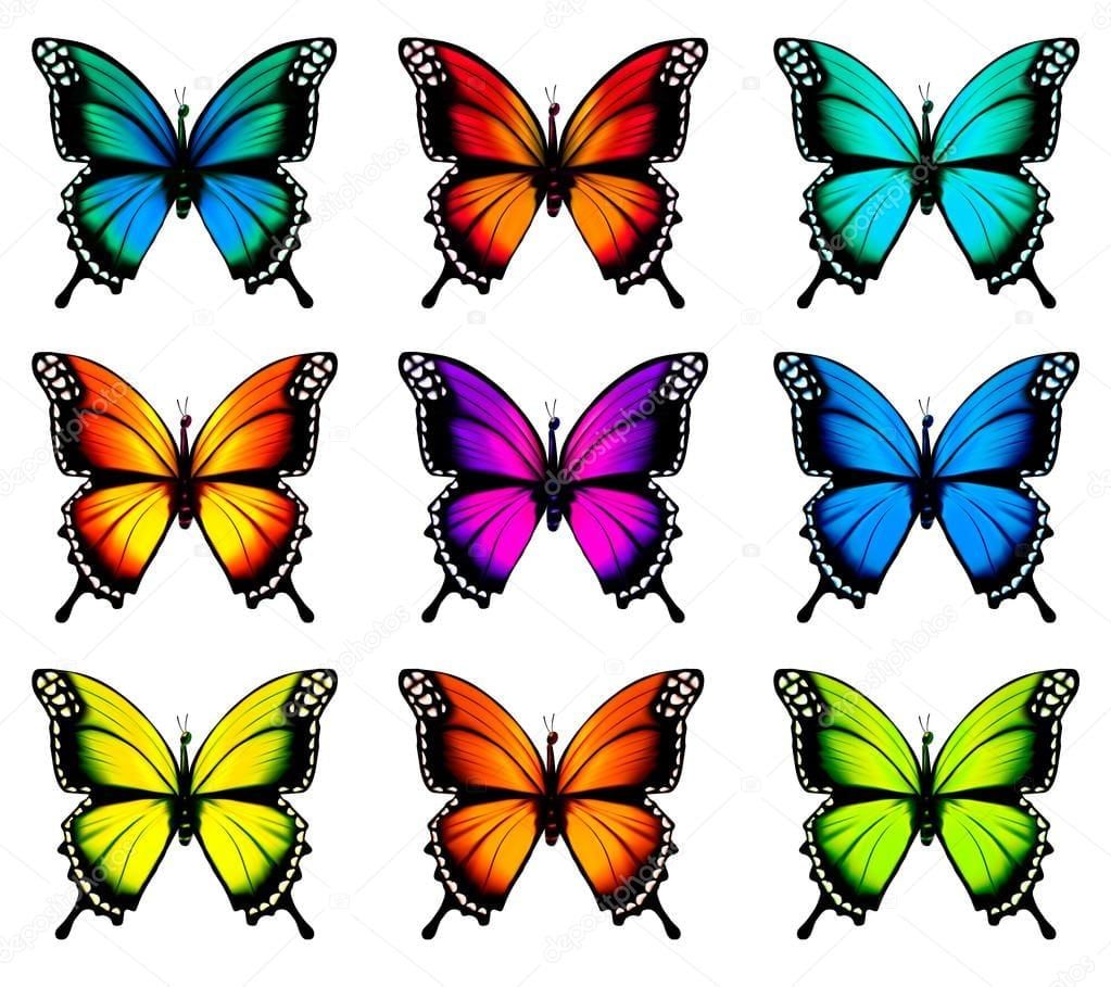 borboletas para imprimir em cores