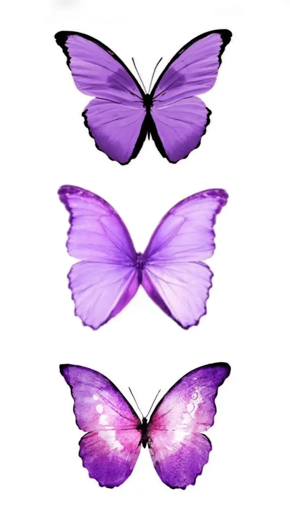 Borboletas para imprimir e colorir