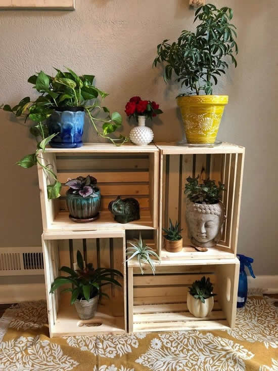 caixote de feira vs caixote de pinus para decoração