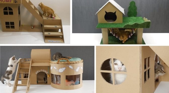 construção sustentável com papelão