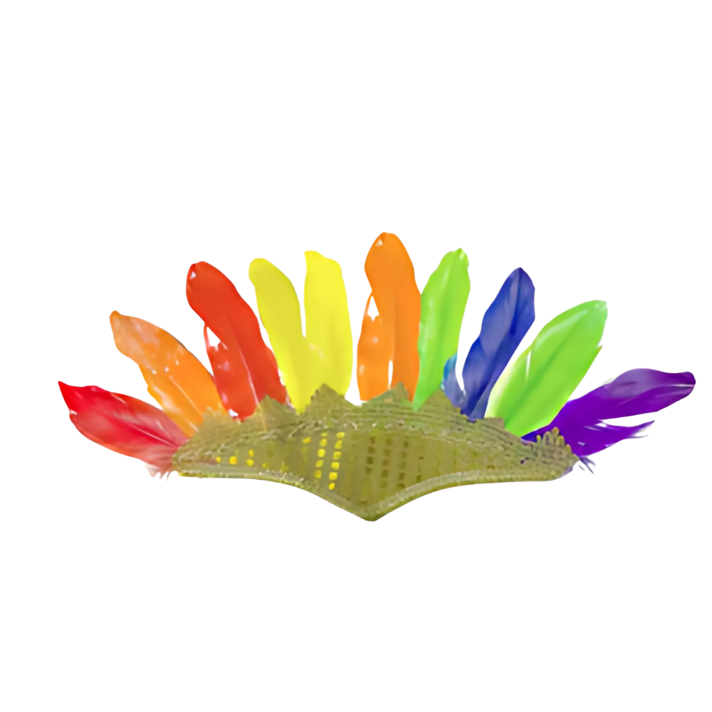desenho de cocar indígena para colorir
