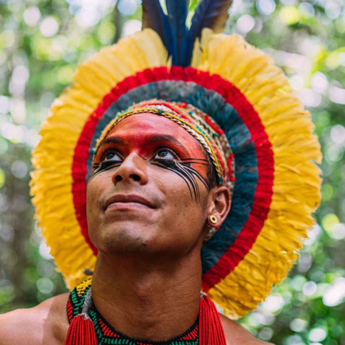 cocar indigena vs cocar de fantasia