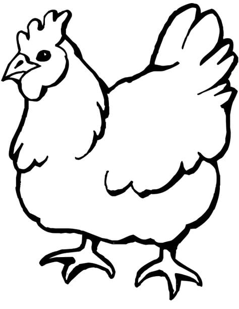 desenhar galinha simples ou detalhada qual a diferença