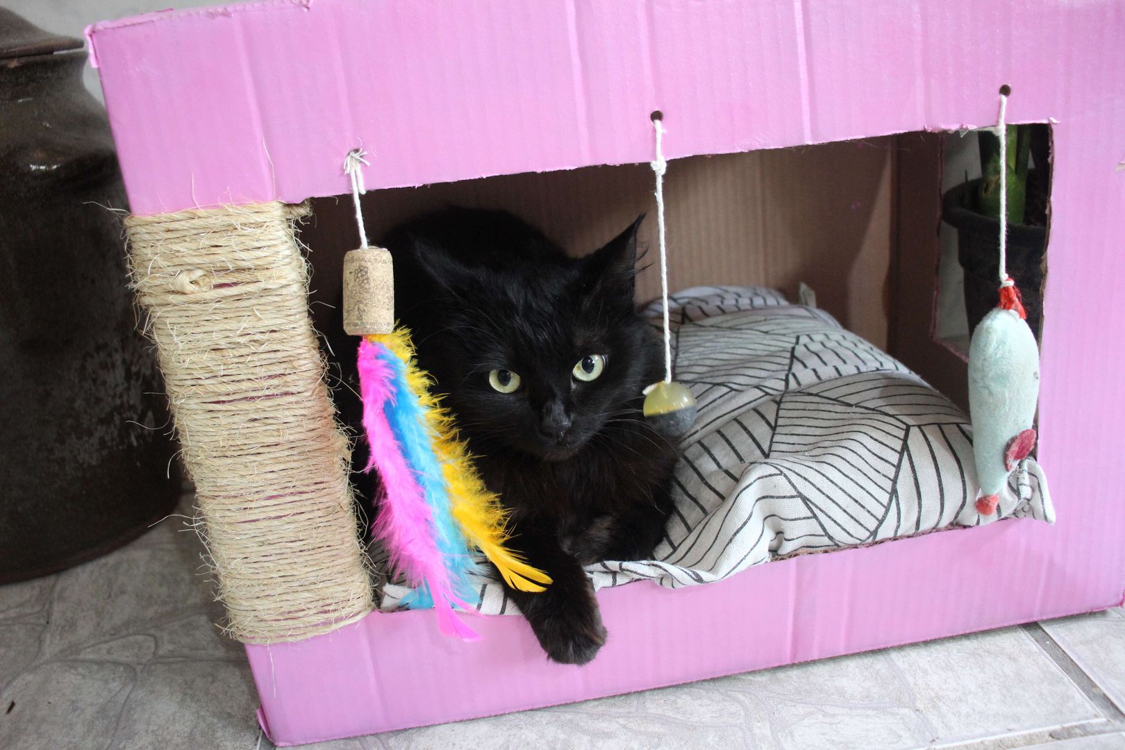 Ideias de Decoração Criativa para a Casinha de Papelão do seu Pet