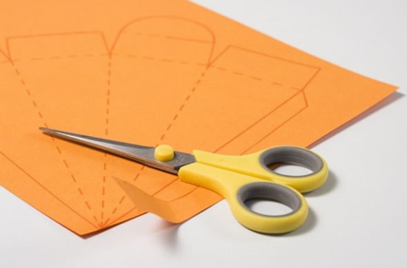 erros comuns fazer cenoura eva