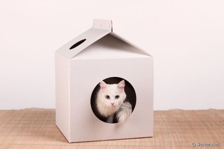 Touca de Cetim vs. Touca de Algodão: Qual a Melhor para o seu Cabelo?