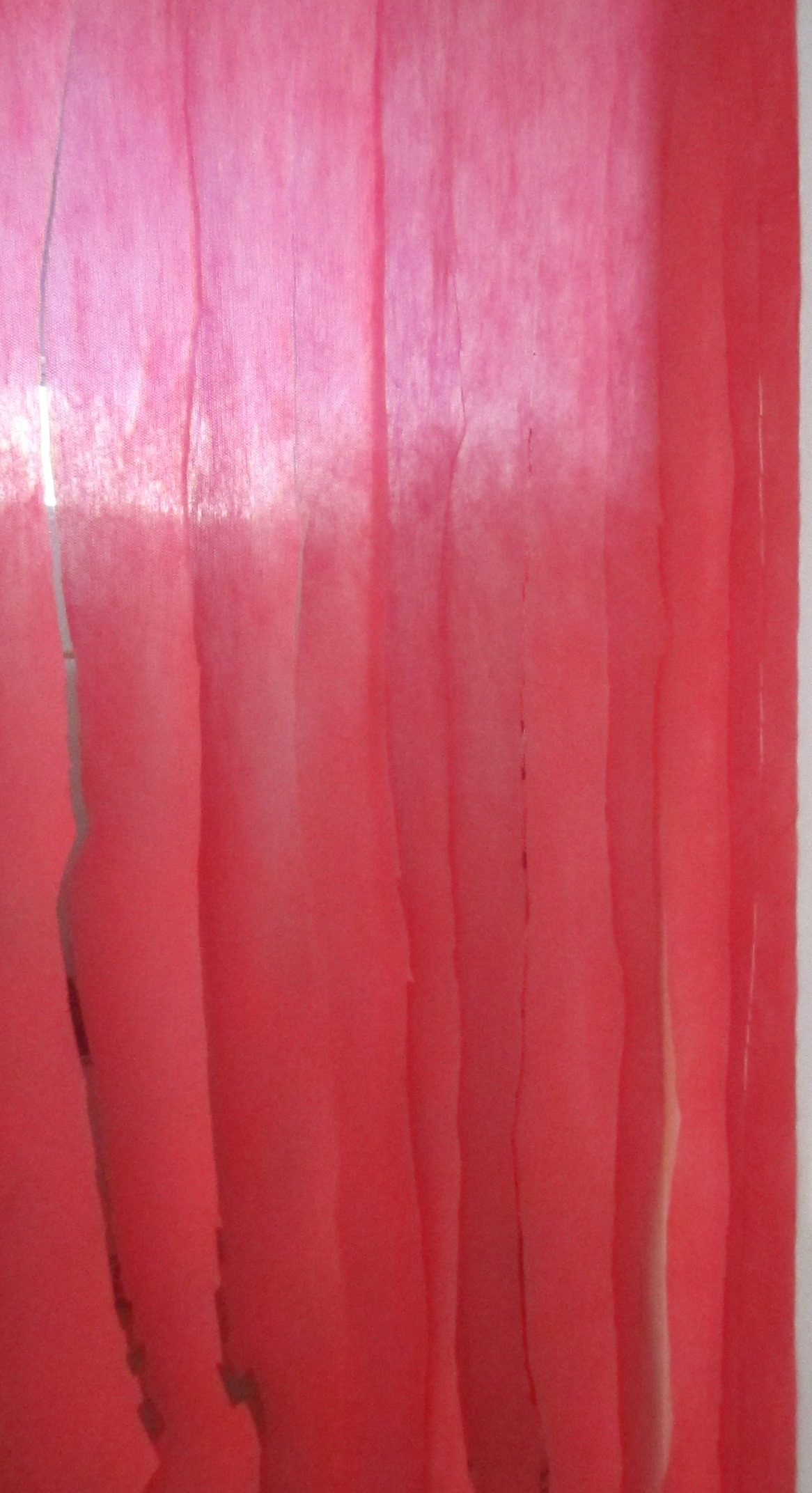 TNT: O Guia Completo de Tipos e Usos na Decoração