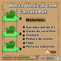 Dicas de rega e luz solar para sua horta vertical de PET prosperar