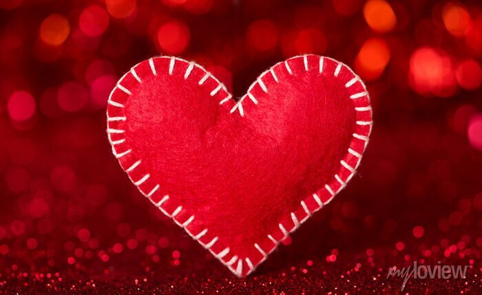 Guia Completo de Pontos de Costura para Feltro: Caseado e Chuleado