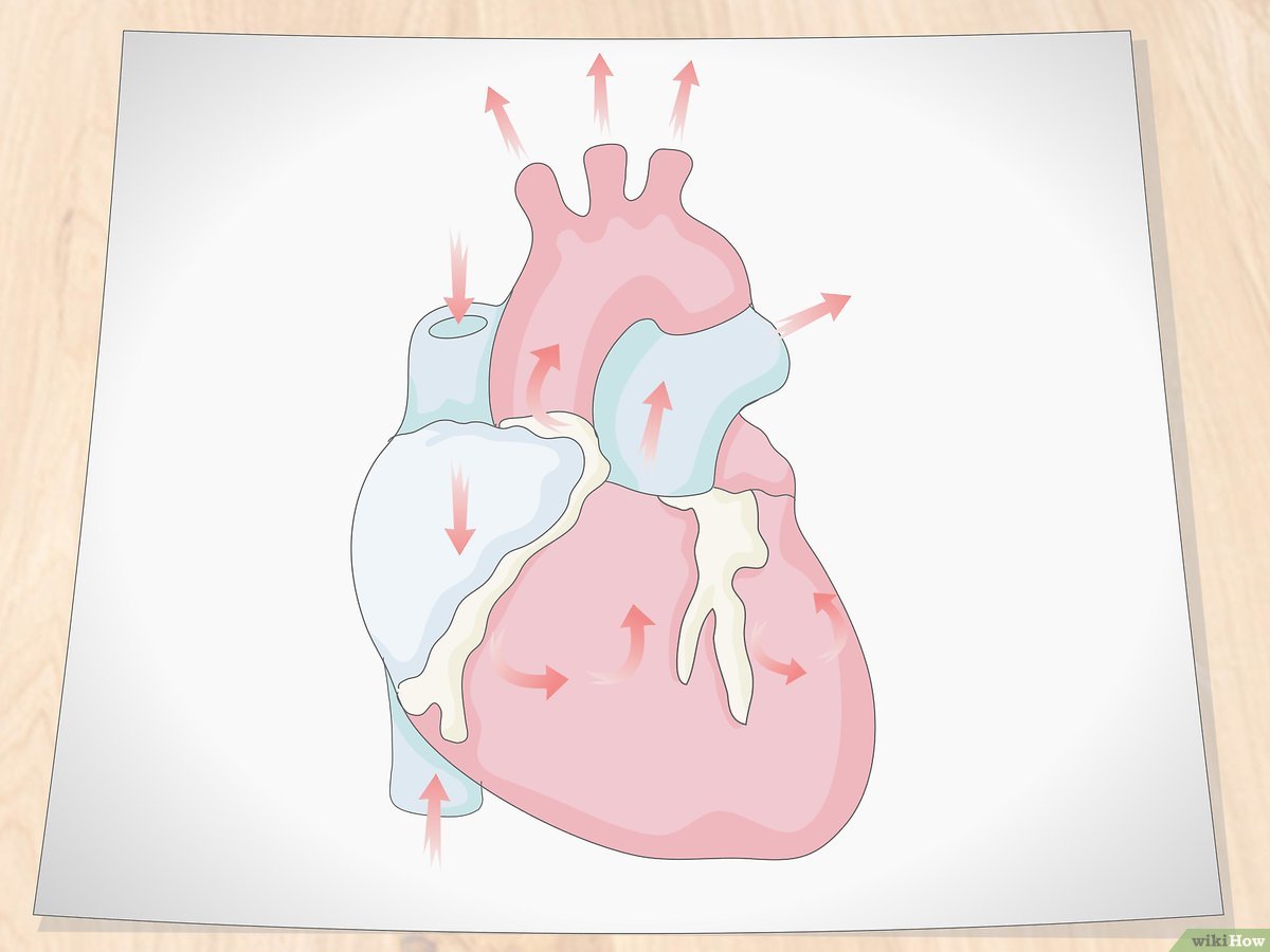 ideias de desenhos de coração para pintar e imprimir