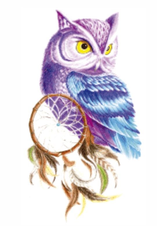 coruja filtro dos sonhos desenho