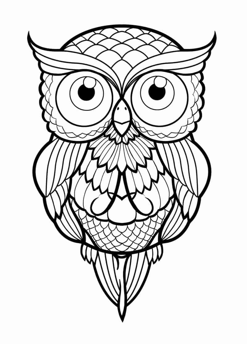 custo de materiais para colorir desenhos de corujas