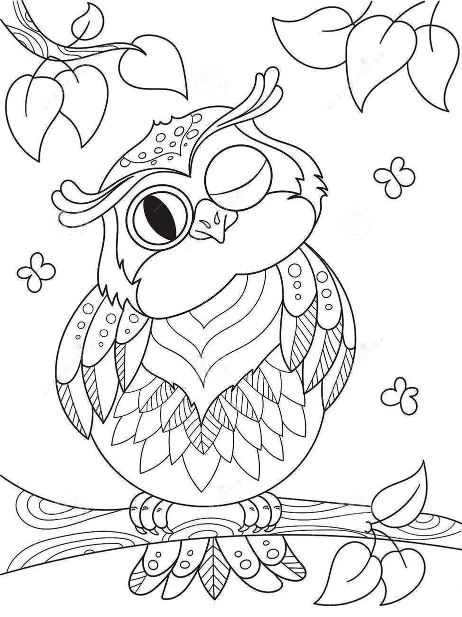 melhores desenhos de corujinhas para colorir online