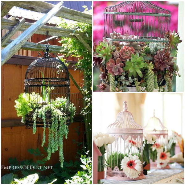 ideias criativas decoração festa gaiolas