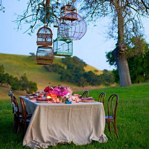 erros comuns decorar festa gaiolas evitar