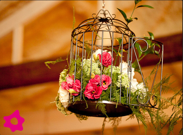 quanto custa decorar festa com gaiolas