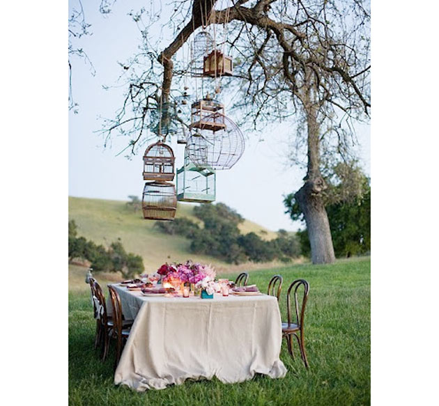 decoração de festa com gaiolas