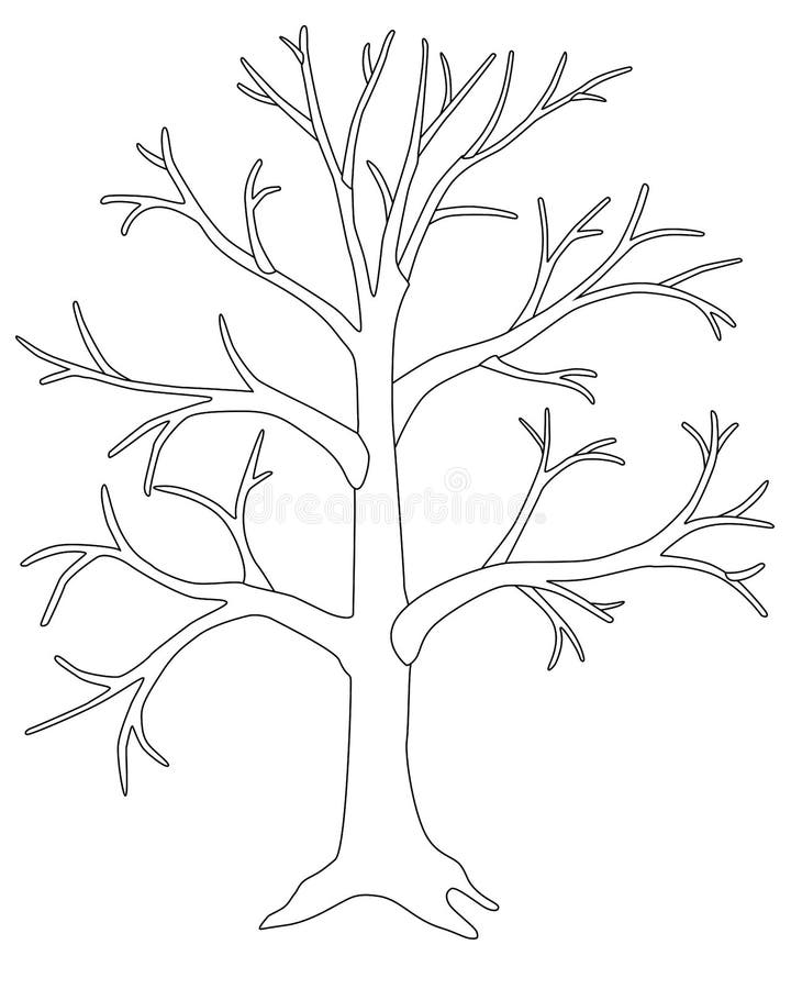 desenho de árvore para imprimir e colorir