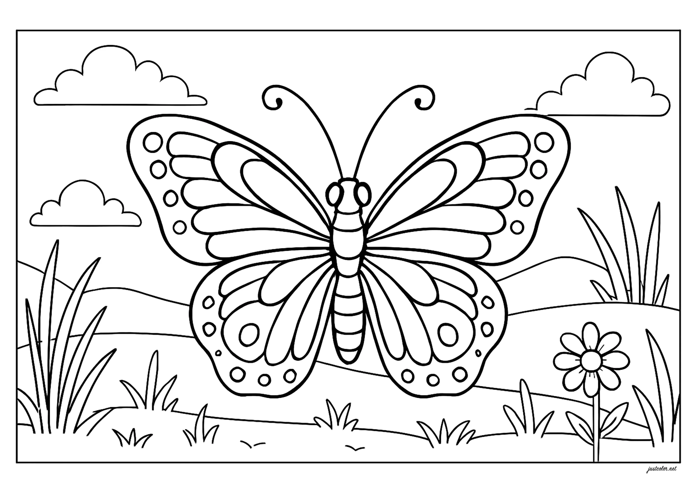 desenho de borboleta em preto e branco para imprimir