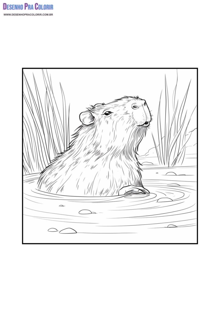 melhores desenhos de capivara para imprimir e colorir
