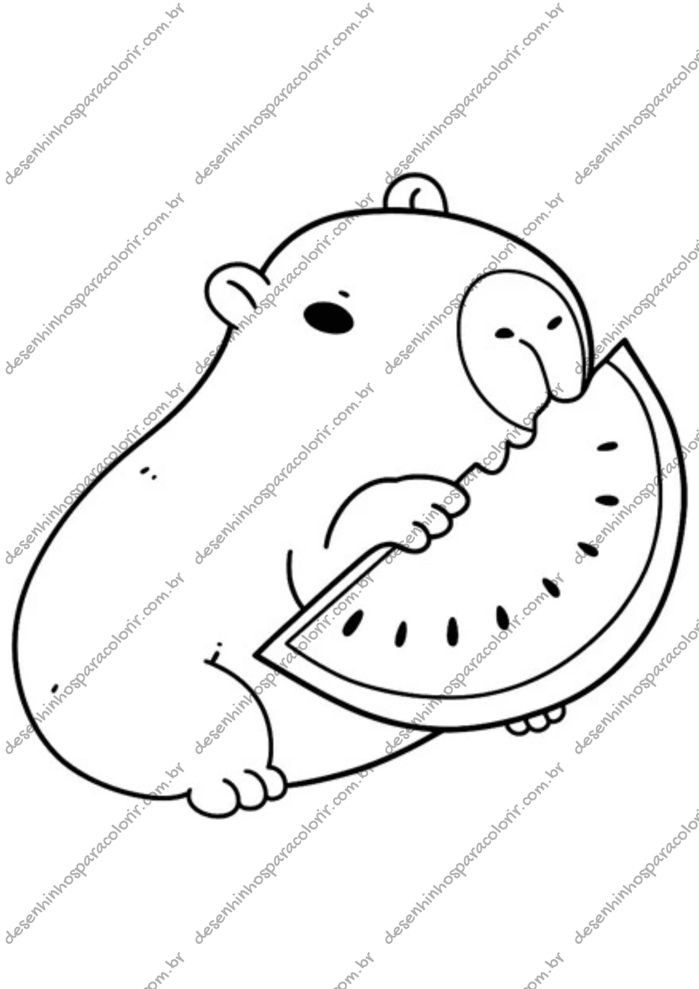 custo de material para colorir desenhos de capivara