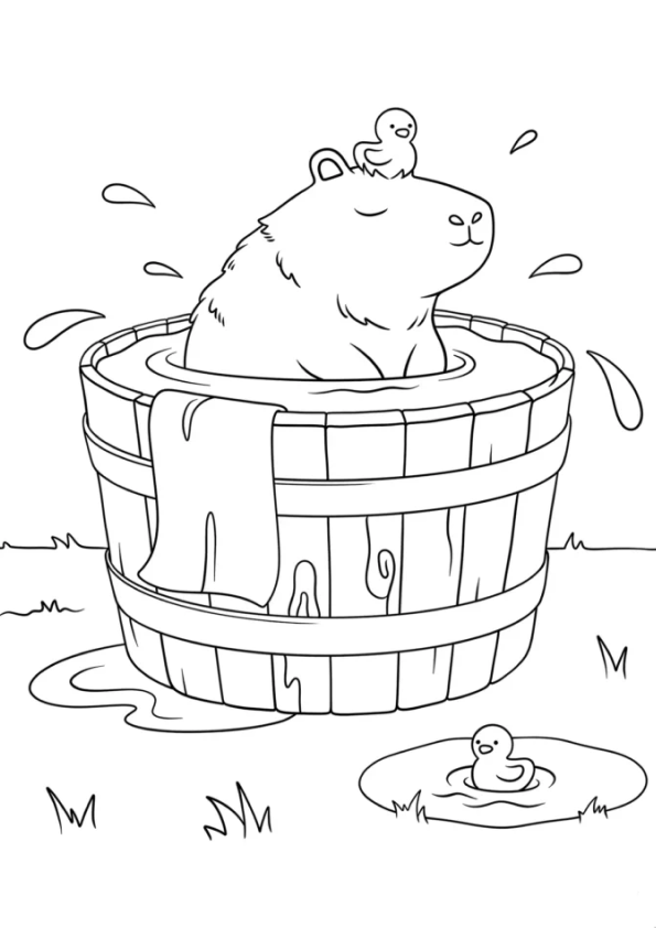 desenho de capivara para colorir