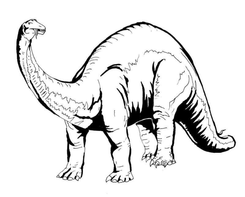 imagens de dinossauros para imprimir