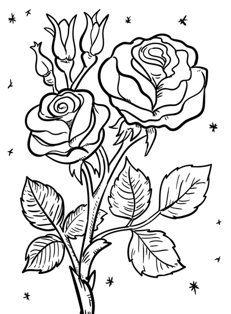 flor para imprimir e pintar
