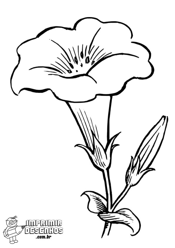 flores para atividades infantis