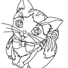 desenho de gato para colorir vs pintura digital