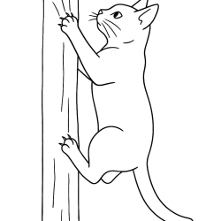 desenho de gato para colorir vs pintura digital