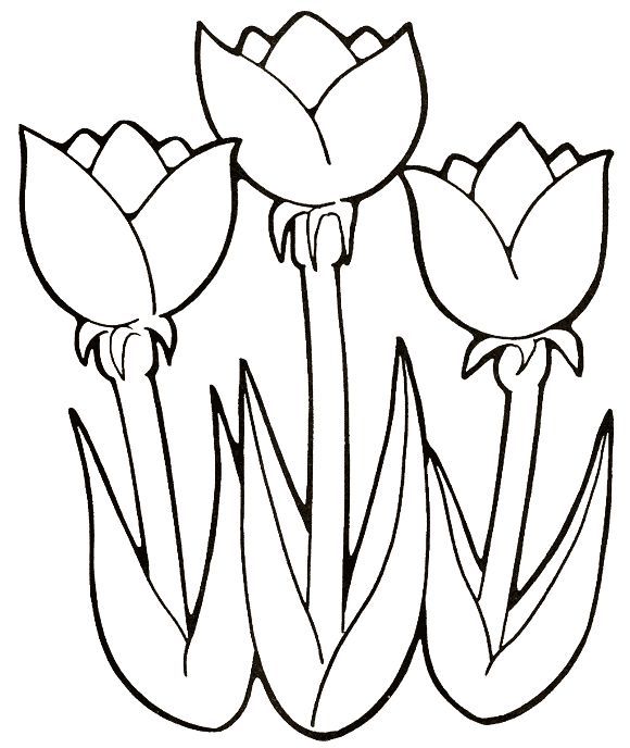 custo de materiais para colorir desenhos fáceis