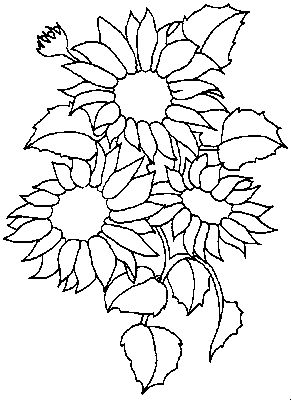 riscos de rosas para pintura em tecido