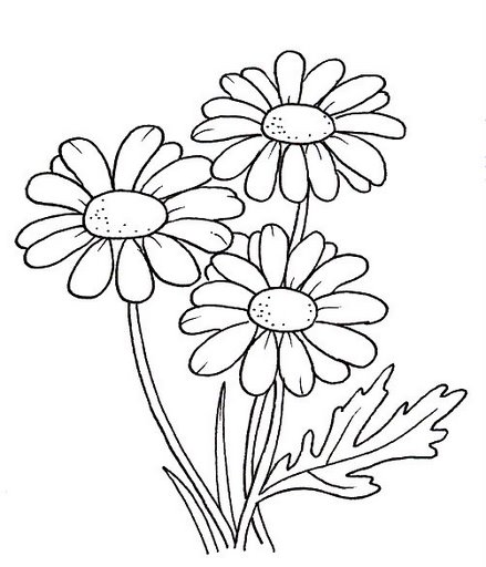 desenhos de flores com frutas para pano de prato