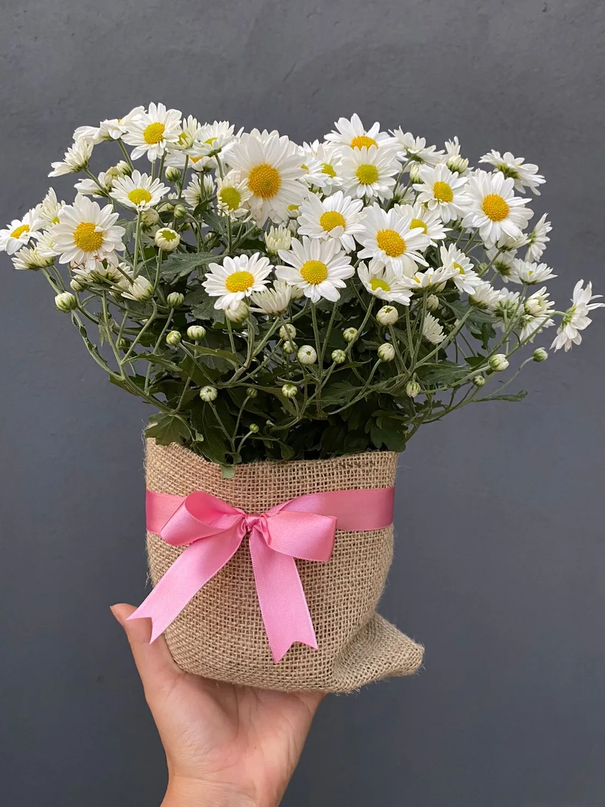 O Significado Secreto das Flores em Seus Arranjos